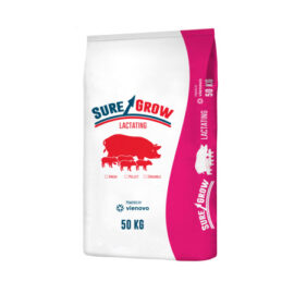 Suregrow – Hog Lactating Pellet – 50 kg